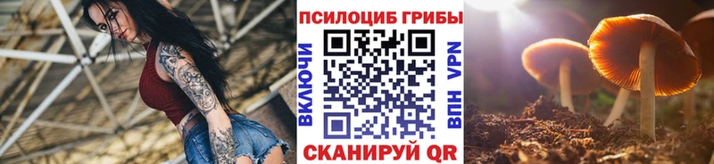 Псилоцибиновые грибы MAGIC MUSHROOMS  mega как зайти  Назрань 